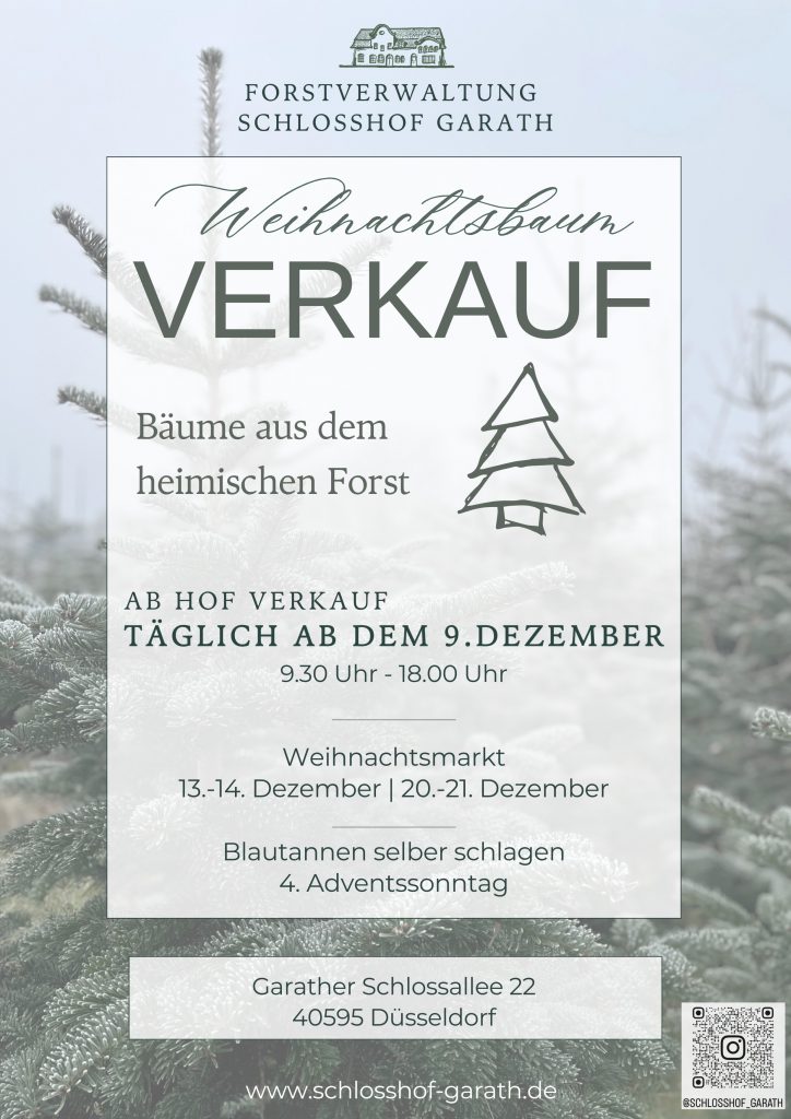 Weihnachtsbaumverkauf Düsseldorf